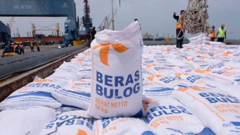 Cadangan Beras Tertinggi Sepanjang Sejarah, Bulog Tegaskan Komitmen pada Petani Lokal