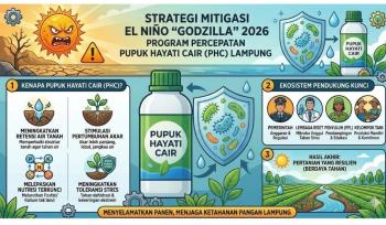 Pemprov Lampung Matangkan Strategi Antisipasi El Nino untuk Jaga Produktivitas Pertanian