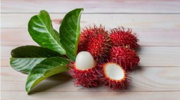 Musim Rambutan, Ini Manfaat dan Resiko Konsumsi Rambutan Jika Berlebihan