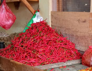 Operasi Pasar, Cabai Merah Harga Rp. 70 Ribu