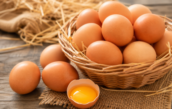Wamentan Tegaskan Harga Ayam dan Telur Harus Seimbang, Pemerintah Tetapkan Harga Acuan Mulai 15 Juli 2026