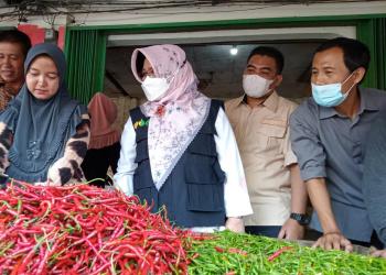 Kunjungi Pasar di Bandar Lampung, Kementan Beberkan Beberapa Hasil Temuan