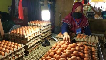 Pergerakan Harga Telur Ayam Ras di Lampung Dipantau KPPU 