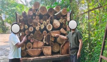 Tebang Puluhan Pohon di Hutan Lindung Lampung Selatan, Residivis Illegal Logging Kembali Diciduk