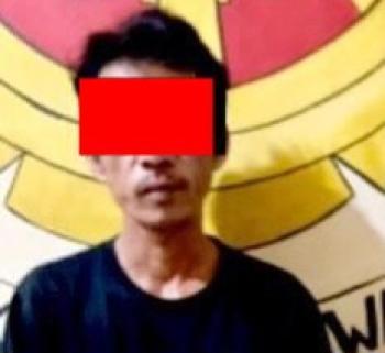 Kepergok Curi Sawit di PT GMP, Pria 45 Tahun Diamankan Polisi