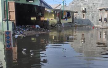 Warga Pesisir Bandar Lampung Dilanda Banjir Rob