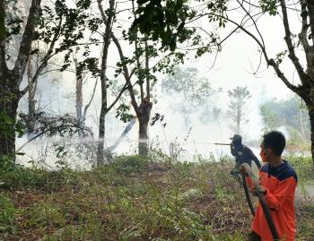 Risiko Karhutla Meningkat, BPBD Lampung Tekankan Pencegahan Kebakaran Lahan