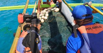 Jaga Kelestarian Laut, Patroli Gabungan Tanggamus Intensif Awasi Aktivitas Bom Ikan 