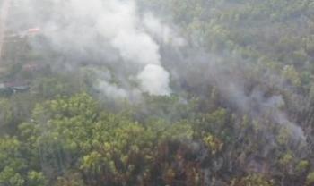 Puluhan Titik Panas Terdeteksi di Lampung, TNWK Jadi Fokus Penanganan
