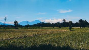 Program Gubernur Lampung Kartu Petani Berjaya, Belum Menyentuh Petani