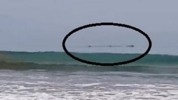 Apakah Pertanda! Sebelum Gempa Banten, Hiu Paus Muncul di Bibir Pantai