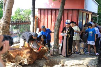 Tingkatkan Rasa Persaudaraan, Polda Lampung Salurkan 58 Hewan Kurban di Iduladha 1446 H