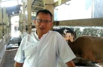 Wabah PMK, Peternak Sapi di Bandar Lampung Berharap Solusi dari Pemerintah