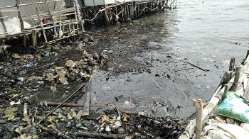WALHI Lampung Desak Pemerintah Segera Atasi Pencemaran Laut di Pesisir Panjang 