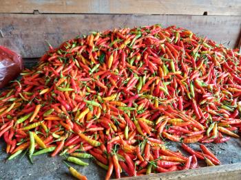 Jelang Idul Adha Harga Cabai Semakin Pedas 