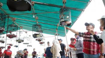 Lomba Burung Berkicau Meriahkan HUT-66 Kabupaten Lampung Selatan