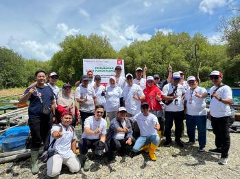 Sinergi Hijau Lampung, TDM Lakukan Penanaman 2.000 Pohon Mangrove di Pantai Ketapang   