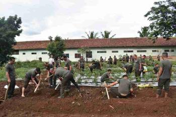 Korem 043/Gatam Siapkan Taman Urban Farming Seluas 5.000 MÂ² di Satlog Bypass  	