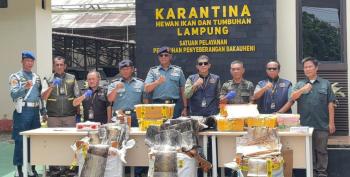 Truk Ekspedisi Angkut Satwa Ilegal Digagalkan di Bakauheni, Ratusan Kulit Ular dan Puluhan Kura-Kura Disita