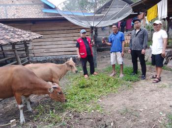 SMSI Way Kanan Bersama PMI, Lakukan Penyuluhan dan Bagikan Obat Penyakit Mulut dan Kuku ( PMK )