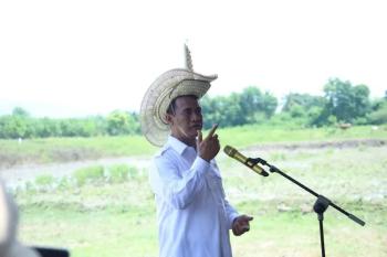 Buntut Harga Panen Tak Karuan, Mentan Warning Importir Singkong: Jangan Zalimi Petani 