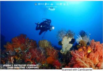 Divers Lampung Juara 3 Underwater Photography Competition FPSL 2022 di Sulawesi UtaraÂ 