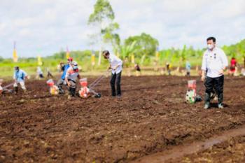 Presiden Ajak Petani Milenial Menjadi Motor Penggerak Pertanian