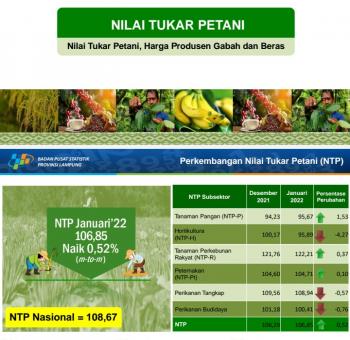 Nilai Tukar Petani Provinsi Lampung Januari 2022 Naik 0,52 persen
