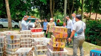 Tim Gabungan KSDA Lepas Liarkan 4527 Burung di Tahura