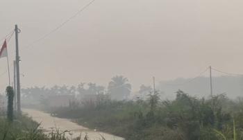 Kebakaran Hutan di Sumsel Ancam Taman Nasional, 9 Orang Jadi Tersangka 