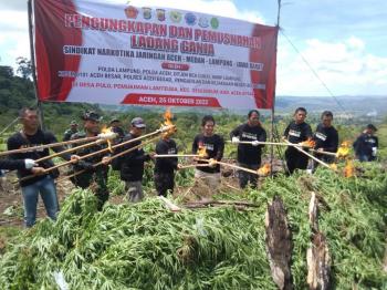 Ditresnarkoba Polda Lampung Bersama Tim Terpadu Musnahkan 12 Ton Ganja di Sarangnya