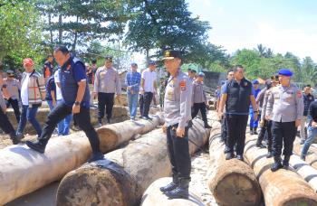 Polda Libatkan Kemenhut, Selidiki Legalitas Muatan Tongkang yang Kandas di Pesibar