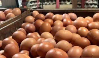 PIHPS: Harga cabai rawit merah Rp35.000/kg, telur ayam Rp29.000/kg