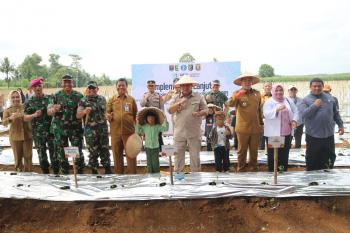 Gubernur Arinal Laksanakan Gerakan Tanam Cabai untuk Kendalikan Inflasi Pangan, Kabupaten Pesawaran, Bandarlampung dan Metro Lakukan MoU Kerja Sama Antardaerah