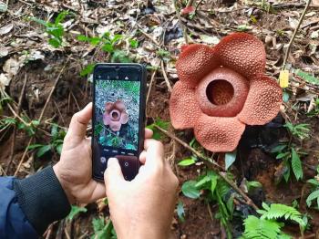 TNBBS Miliki Keistimewaan yang Bisa Dimanfaatkan Untuk Kegiatan WisataÂ 