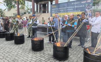 Karantina Lampung Gagalkan Peredaran 75.992 Bibit Sawit Ilegal, Selamatkan Potensi Kerugian Rp42 Miliar