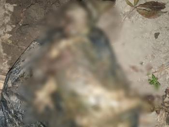 Remaja 17 Tahun Buang Bayi Hasil Hubungan Diluar Nikah, Polisi Temukan Mayat di Belakang Kandang Ayam