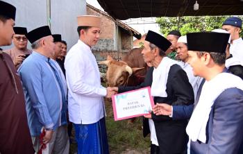Dari Istana untuk Rakyat, Bupati Egi Salurkan Bantuan Sapi Kurban Presiden   