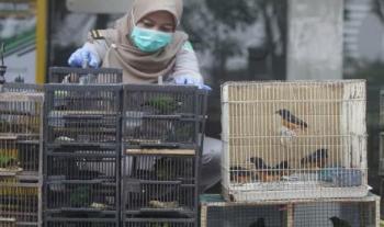 Terbukti Bersalah, Supir Bus Ini Divonis 1 Tahun 4 Bulan PenjaraÂ 