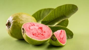 Ini Dia Manfaat Daun Jambu Biji yang Jarang Diketahui