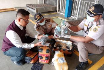Disamarkan sebagai Parcel, Ribuan Benih Sawit Tanpa Dokumen Diamankan di Bandara Radin Inten II
