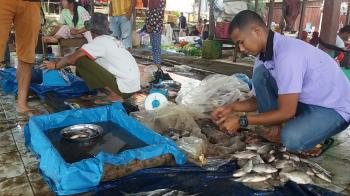 Sembako Di Pasar Liwa Lambar, Masih Relatif Stabil