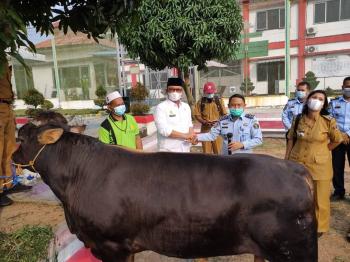 Lembaga Pemasyarakatan (Lapas) Gunung Sugih Terima Bantuan Kurban dari Bupati Lampung Tengah