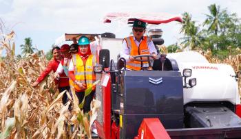 Panen Raya Jagung GNTI di Pesawaran, Ketua DPD PDIP Lampung Soroti Pentingnya Fasilitas Pascapanen