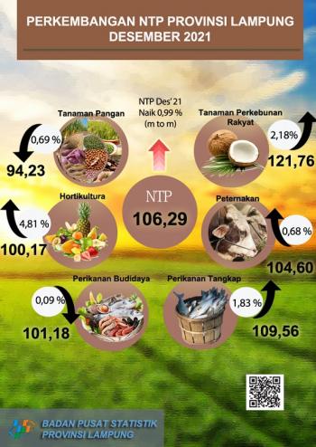 Alami Kenaikan, BPS: Nilai Tukar Petani Provinsi Lampung Desember 2021 Sebesar 106.29