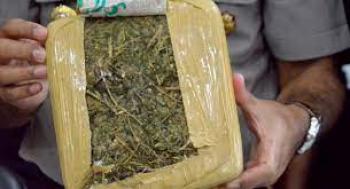 Edarkan Ganja, Mahasiswa Bandar Lampung  Ditangkap
