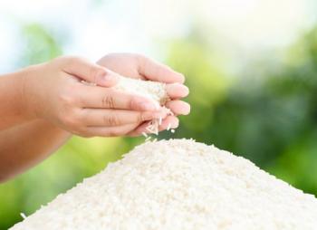  Modern Rice Milling Plant Bulog di Lampung Siap Produksi Beras Premium