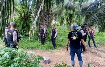 Diduga Jadi Sarang Narkoba, Polisi Bongkar Gubuk di Lampung Tengah, Tiga Orang Diburu