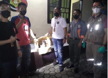 Penyelundupan Dua Ekor Sipanse Berhasil Digagalkan KSKP Bakauheni