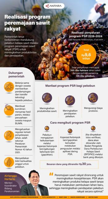Pemerintah Terus Berkomitmen Mendukung Pekebun Kelapa Sawit Melalui Program Peremajaan Sawit Rakyat (PSR) 